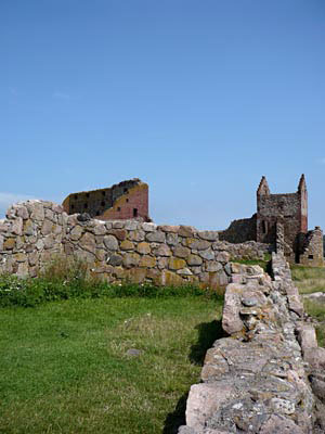 Ewisko i Tomx Grygiel