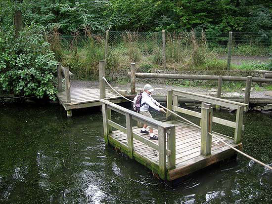 Zdjęcia Agi, Hani i Marka