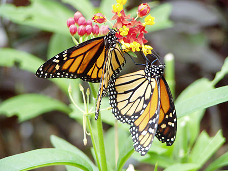 Zdjęcia Anny (annpap)