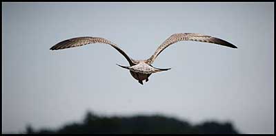 Zdjęcia Artura Rawicza