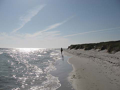 Zdjęcia Kaśki i Doroty