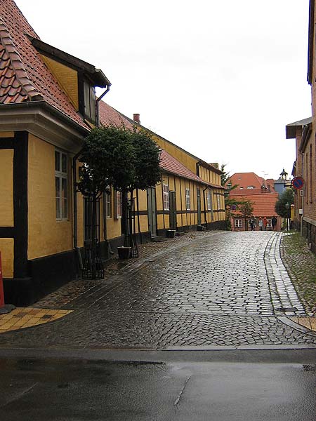 Zdjęcia Marleny, Kazka i Igora