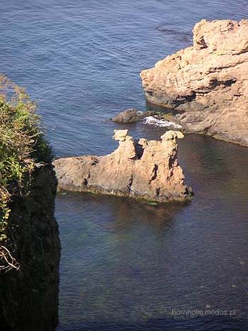 Zdjęcia Natalii i Michała