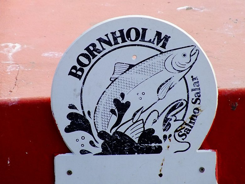 Zdjęcia Jagny i Huberta