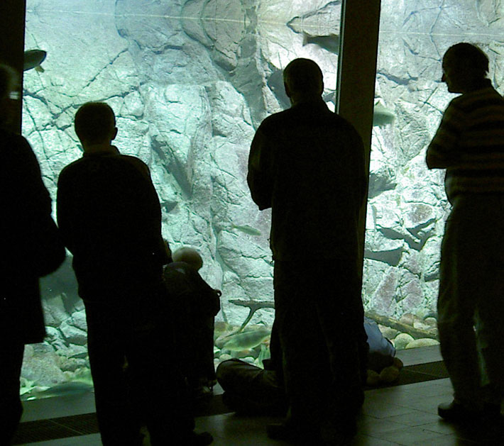 NaturBornholm Muzeum