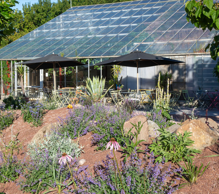 Sommerlunden Park Motyli