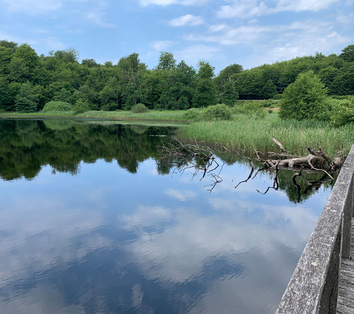 Trasa nr 26 – Slotslyngen – Almindingen