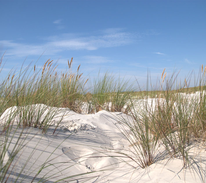 Trasa 10, Etap 3 – Svaneke – Dueodde