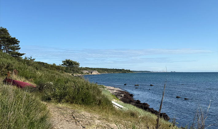 MTB Skovly Trail – singletracki