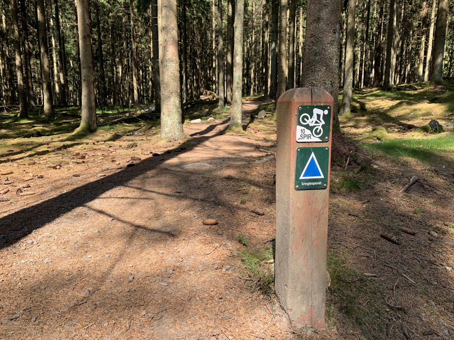 Trasy MTB na Bornholmie – Trailcenter Almindingen