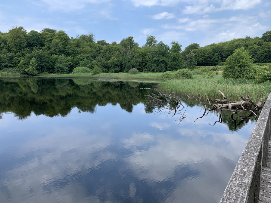 Trasa 26 – Slotslyngen – Almindingen