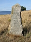 Kamień runiczny Svaneke