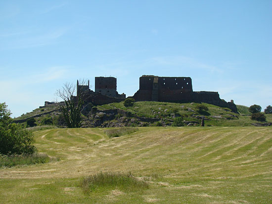 Ruiny zamku 