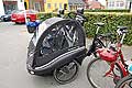 Nietypowy rower z przyczepką dla dziecka