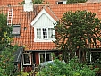 Południowa roślinność na duńskiej  wyspie