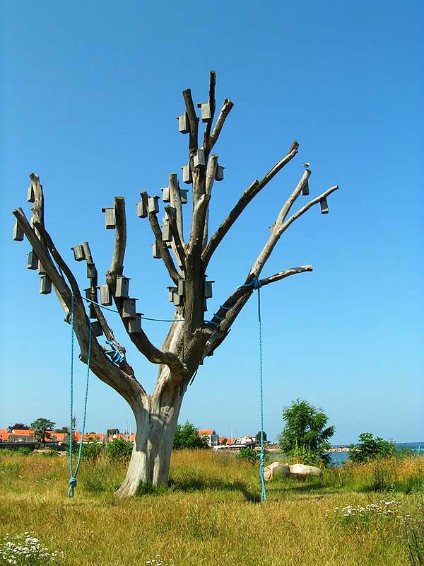 Kramnikowe drzewo w Svaneke