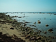 Jedna z wielu kamienistych plaż Bornholmu